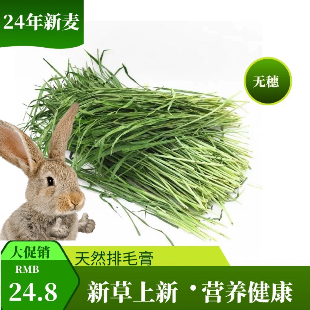 24年新烘干小麦草兔子龙猫荷兰猪粮食宠物饲料2斤1000g新草上市