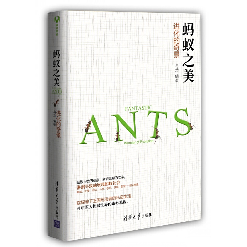 【当当网正版书籍】蚂蚁之美:进化的奇景