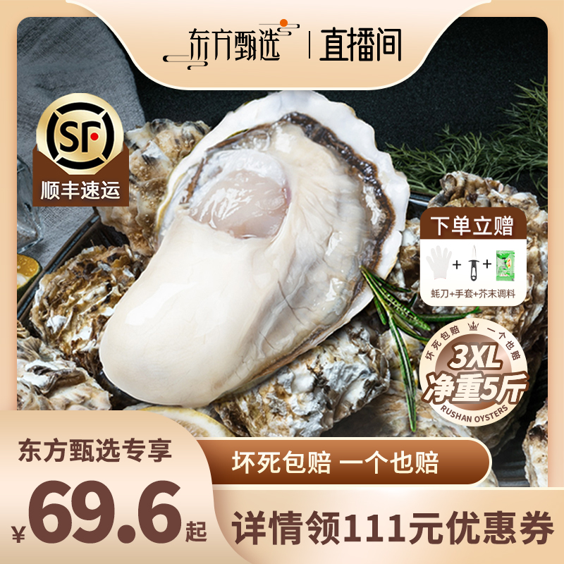 【510周年庆】鲜海道福瑞乳山生蚝鲜活特大5斤牡蛎水产海鲜批发