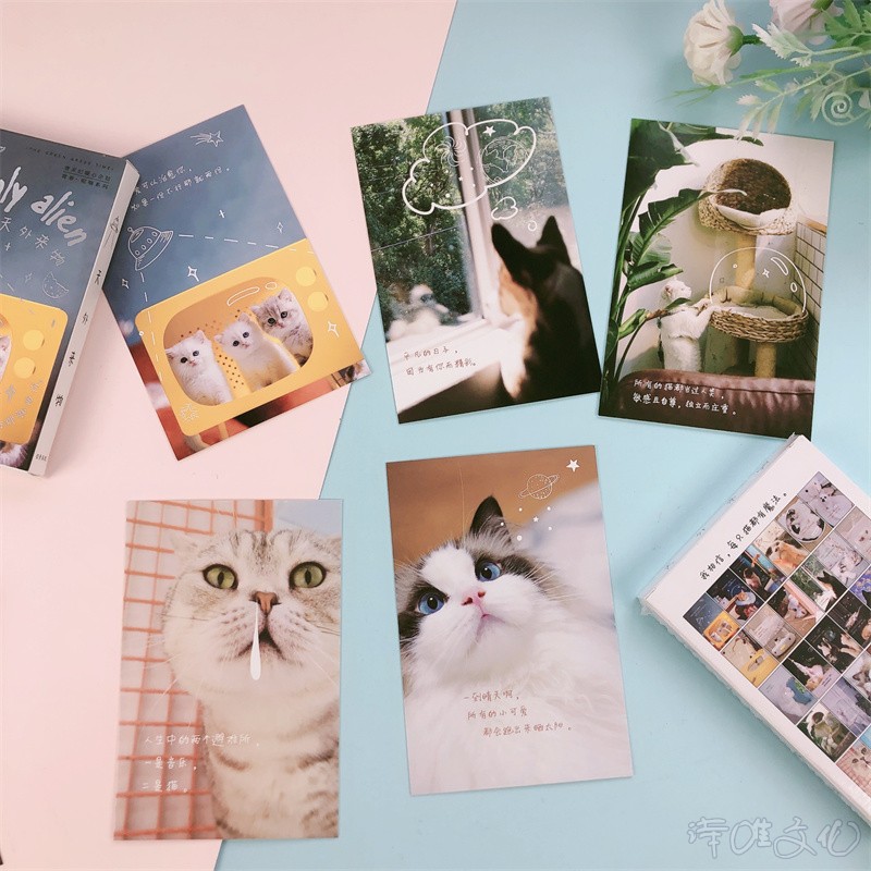 可爱猫咪明信片卖萌动物宠物手绘小猫咪日常图片表情包配字幕卡片