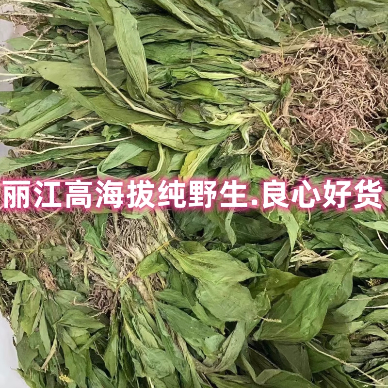 云南正宗野生见血清草药干货不是贵州广西种植的见血清中药材包邮