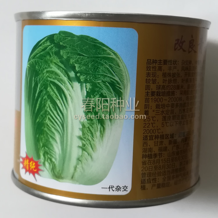 申荣改良青杂三号 大白菜种子 基地用白菜种籽 高产抗病 杂交种子
