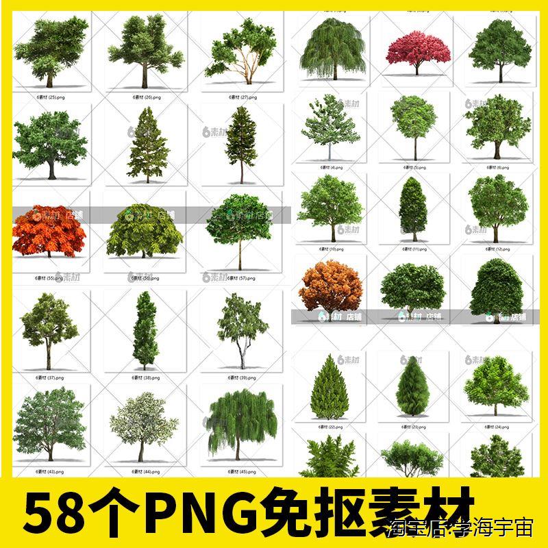 树木大树绿植真实绿化树枫树耶诞树高清png免抠ps图片素材元素