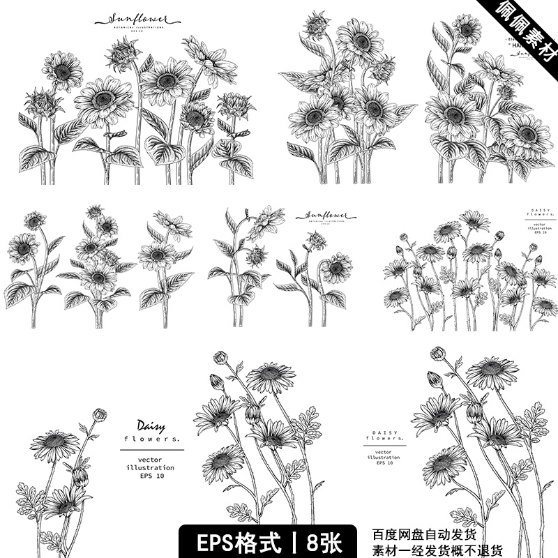 黑白色线描稿向日葵花卉朵手绘素描植物叶子小香风生日婚礼AI素材