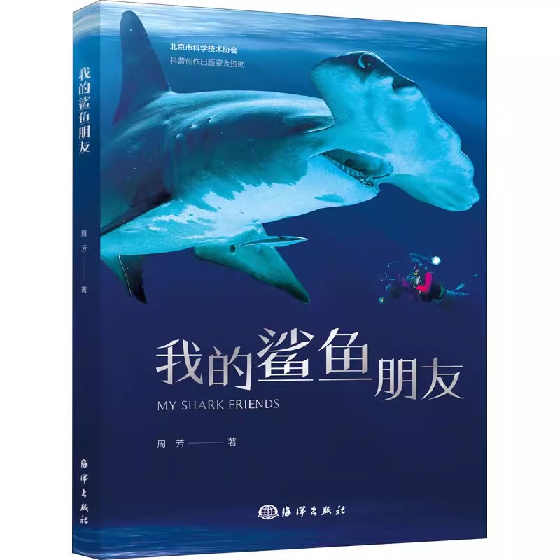 正版 我的鲨鱼朋友 宣传环保理念书籍 保护海洋动物人与自然共生的新发展理念书籍 海底生物彩色图鉴 鲨鱼知识书大百科科普全书