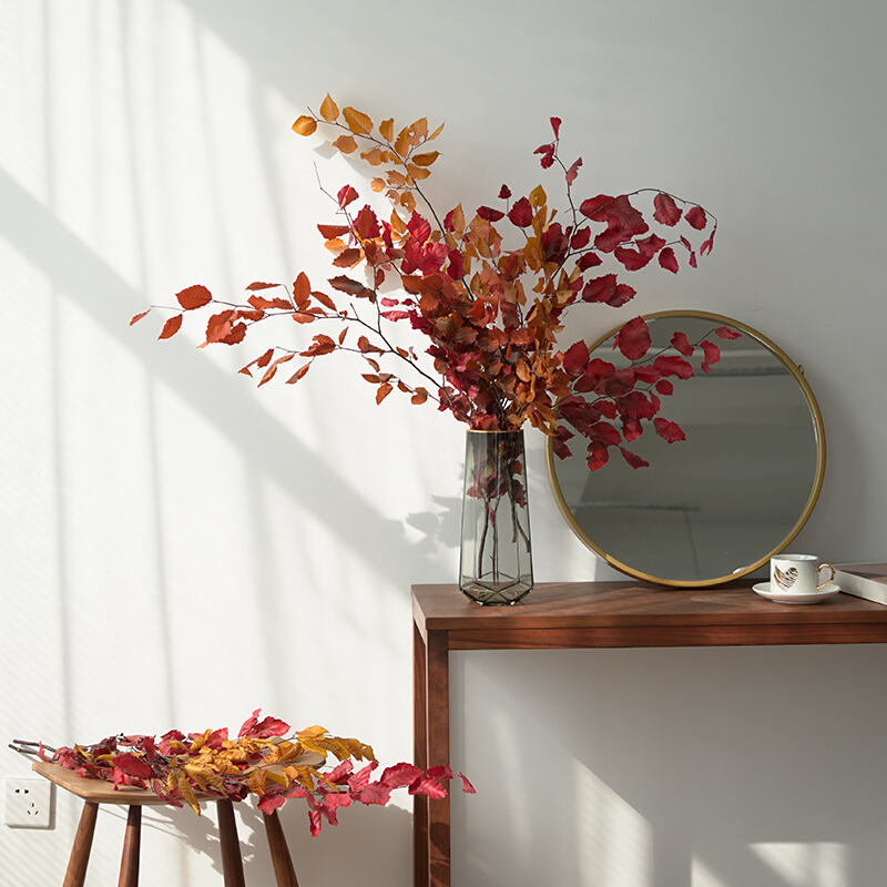 橡树叶进口秋色树叶北欧风永生干花束植物插花红叶橱窗设计栎树叶