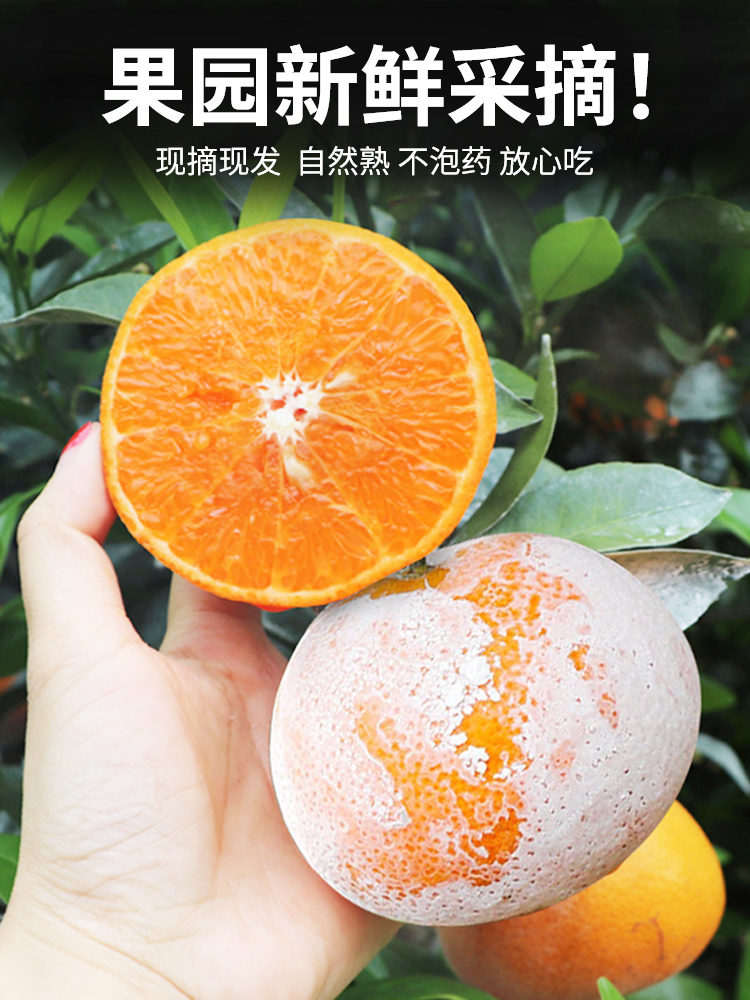广西武鸣茂谷柑9斤新鲜大果石灰脏脏柑橘当季水果橘子整箱包邮10