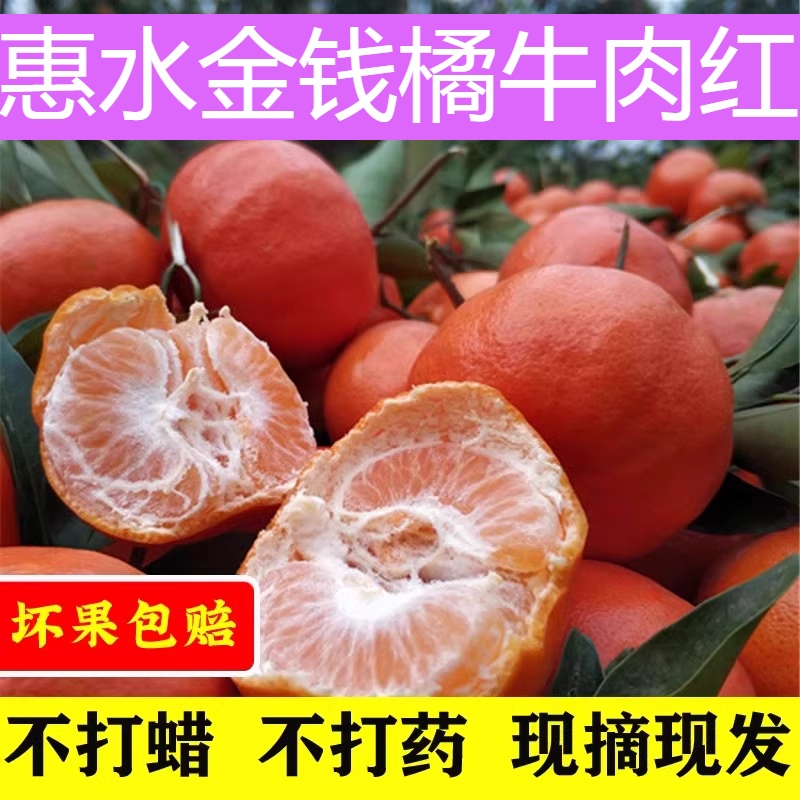 贵州特产新鲜水果惠水金橘金钱橘牛肉红本地桔橘子当季水果5斤邮