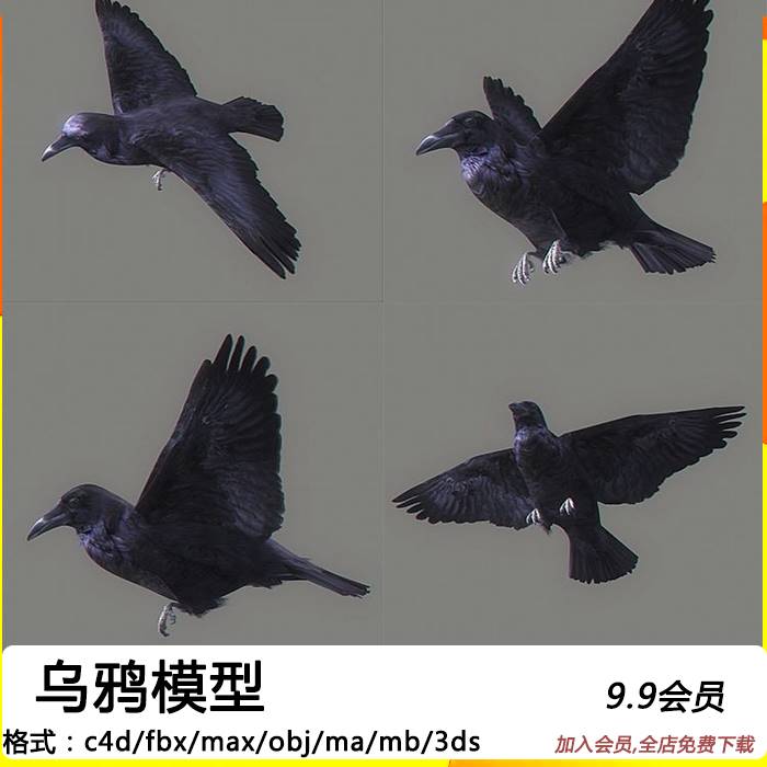 3D乌鸦鸟类带绑定动画黑色小鸟C4D模型工程源文件设计素材
