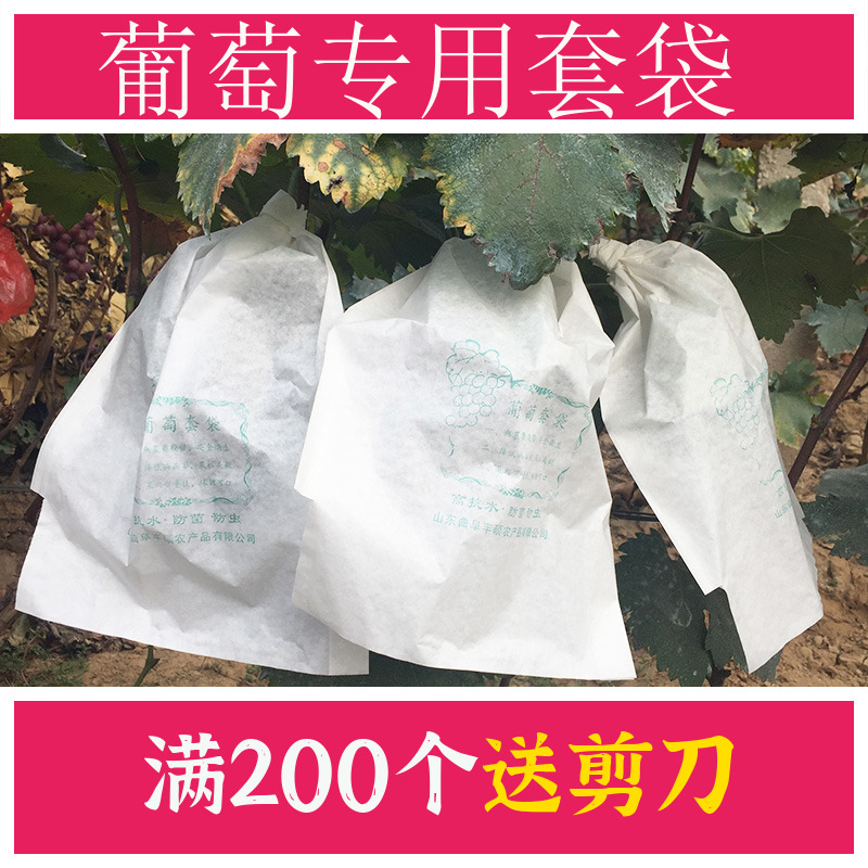 葡萄专用套袋露天防雨防虫防鸟防病害水果袋子厂家直销套葡萄纸袋