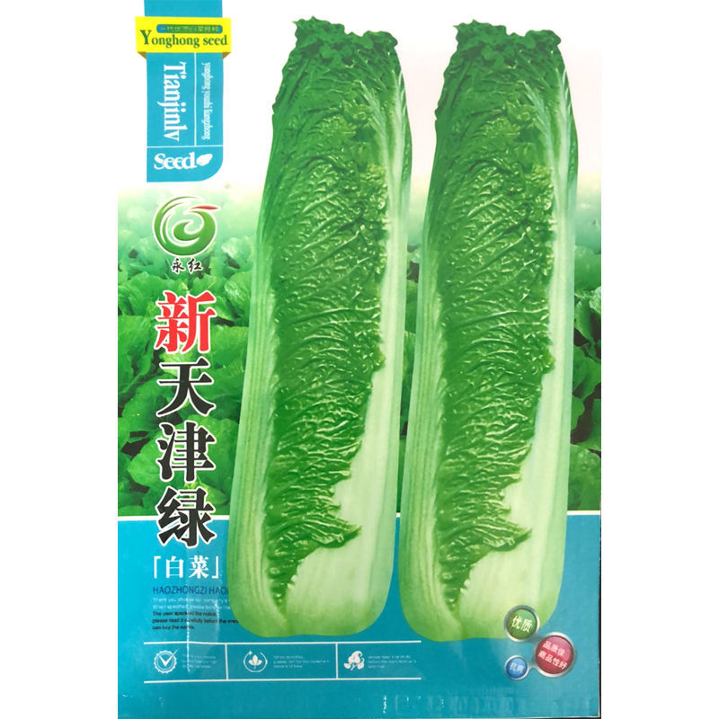 新天津绿白菜种子青麻叶大白菜种籽高筒老白菜籽秋季高产蔬菜种孑