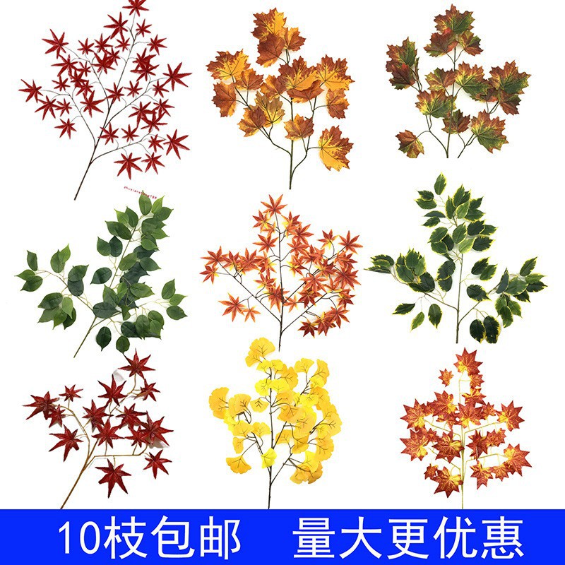红枫叶枫树叶工程装饰假树叶过胶叶子银杏叶秋季绿植梧桐叶