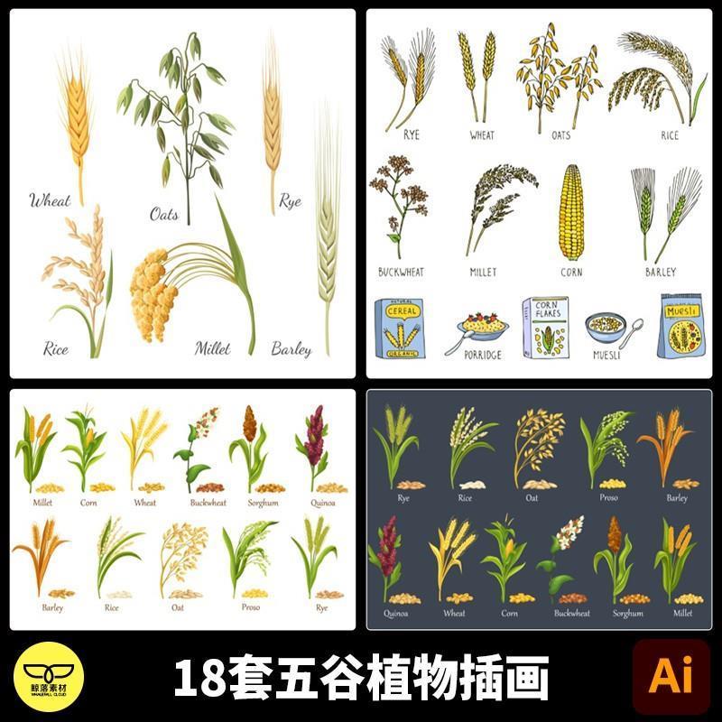 手绘小米小麦荞麦高粱藜麦大麦大米水稻燕麦黑麦插画插图AI素材