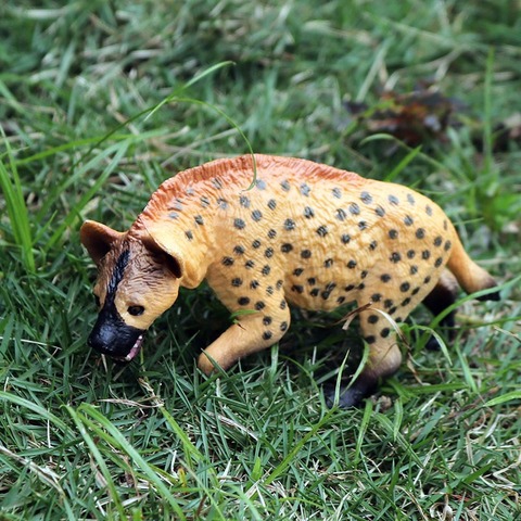 土狼动物园仿真玩具实心儿童非洲动物鬣狗斑鬣狗仿真模型