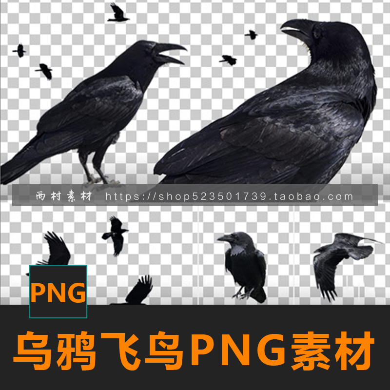 乌鸦飞鸟免抠PNG鸟群素材CG绘画参考PS合成素材matte painting