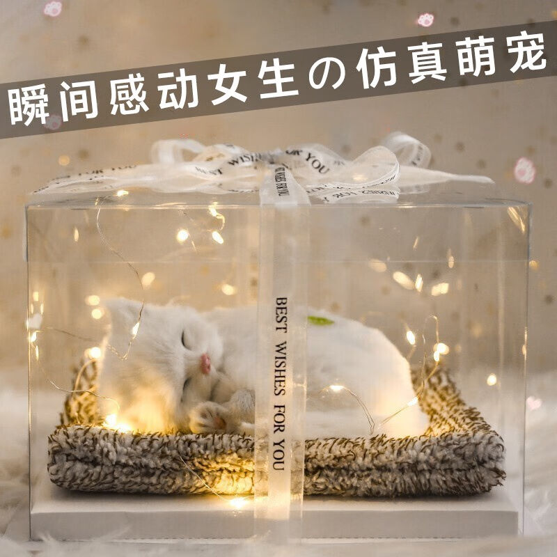 臻礼七夕情人节礼物猫咪动物毛绒玩具情人节礼物表白礼物送女友波