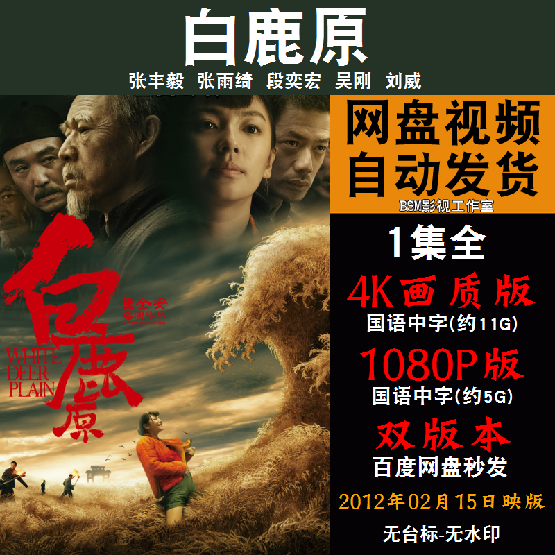 白鹿原 国语电影张丰毅 4K宣传画1080P影片非装饰画