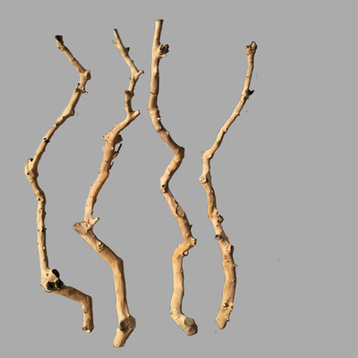 干树枝原木杈艺术干枝枯枝枯木树干树木造型壁挂衣架吊顶树枝装饰