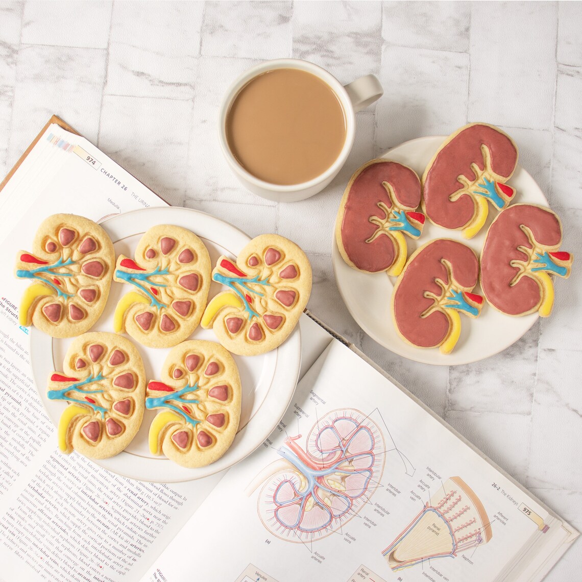 肾器官花样家用翻糖工具蔓越莓卡通压模定制烘焙饼干做曲奇模具