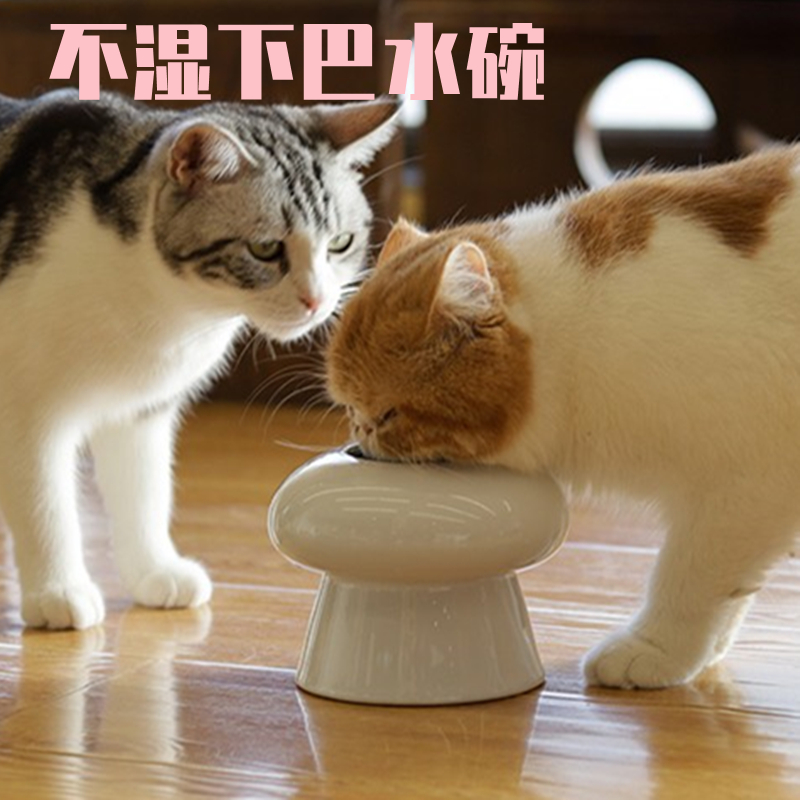 加菲猫专用扁脸碗/陶喝水碗长毛猫/收口不湿下巴嘴神器水碗饮水器