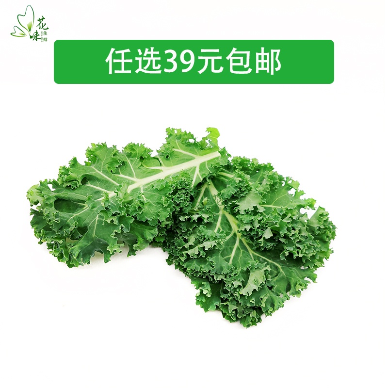 羽衣甘蓝 新鲜蔬菜芥蓝菜kale嫩叶沙拉西餐健身食材蔬菜500g