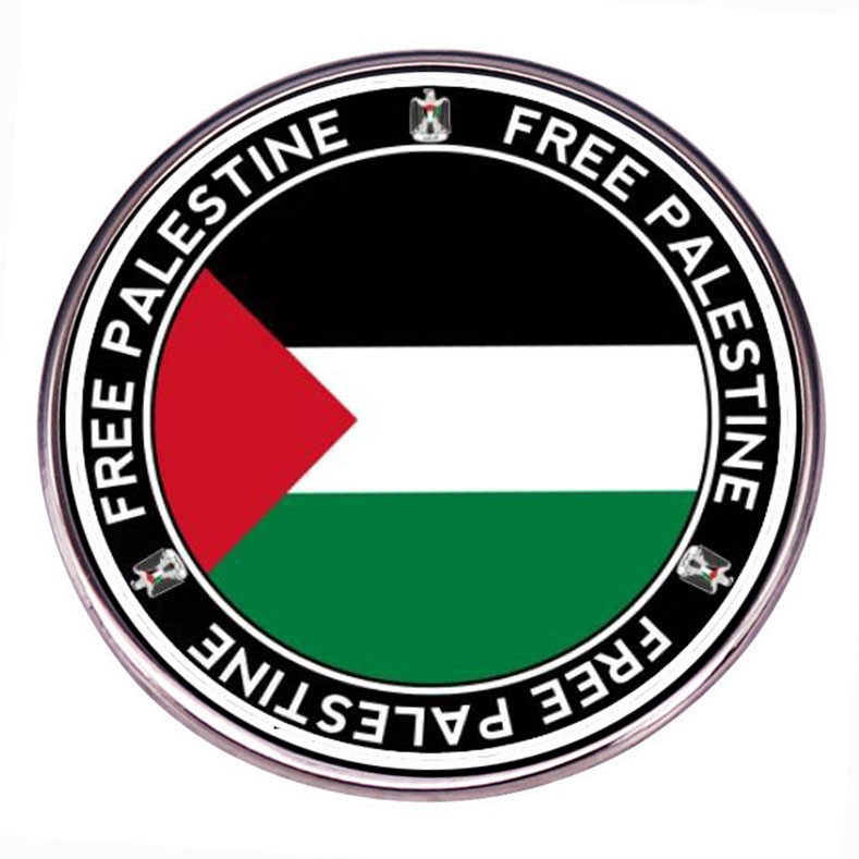 现货巴勒斯坦旗帜亚克力胸针加沙徽章来图订制做创意衣饰别针胸章