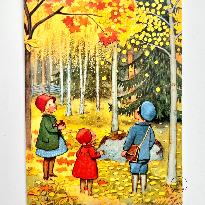 「SHUNA」童话王国的花儿与少年们 瑞典原版贝斯蔻插画明信片现货
