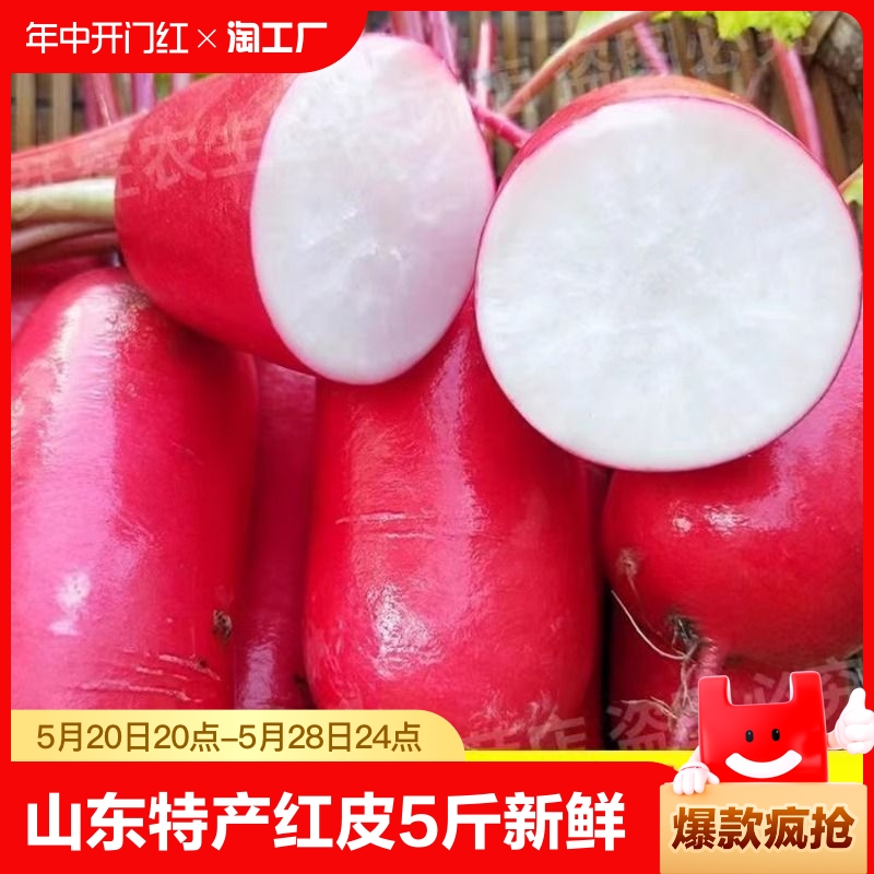 山东特产自种红皮萝卜新鲜现摘红皮白肉水萝卜泡菜胭脂3斤5斤小红