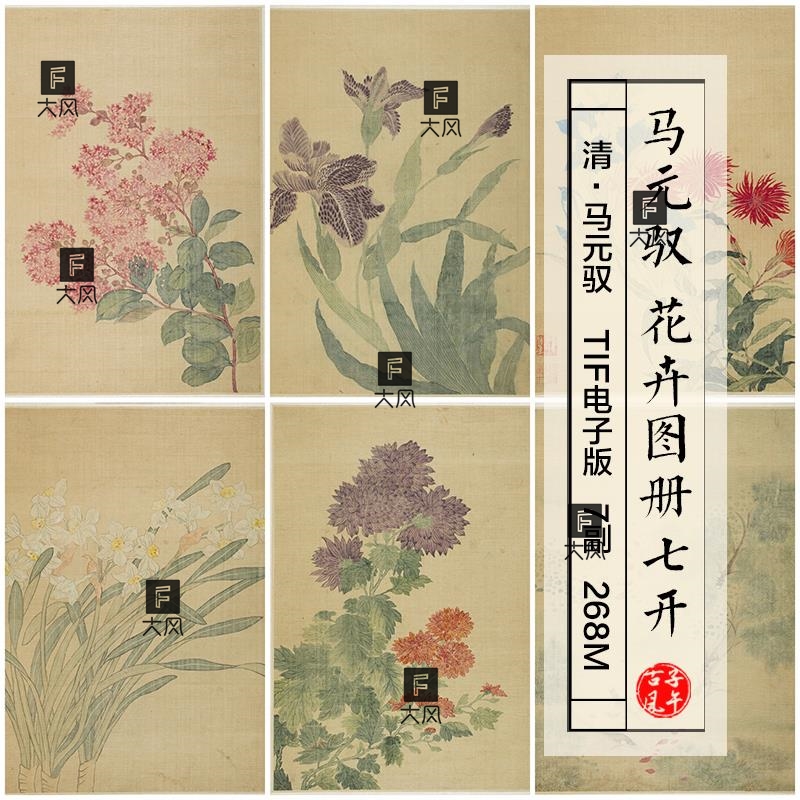 马元驭花卉图画册7副清朝古代工笔鲜花绘画 临摹高清电子图片素材