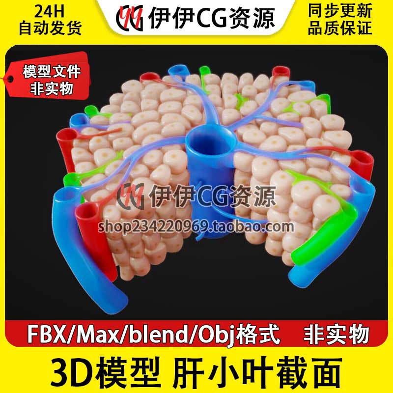 3D模型FBX医学结构解剖肝脏显微解剖肝脏细胞肝小叶PBR材质3Dmax