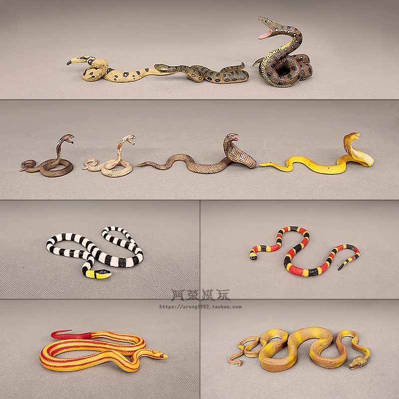 儿童认知仿真野生爬行动物模型蟒蛇眼镜王蛇珊瑚蛇玉米蛇摆件玩具