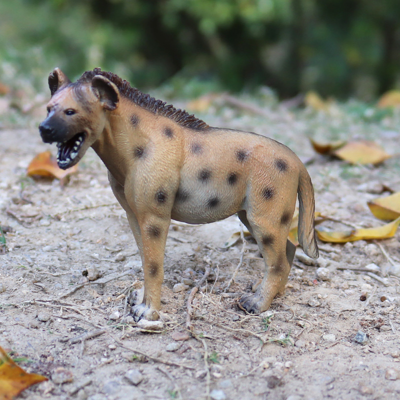 儿童实心仿真野生动物非洲鬣狗模型猎狗土狼摆件认知静态模型玩具