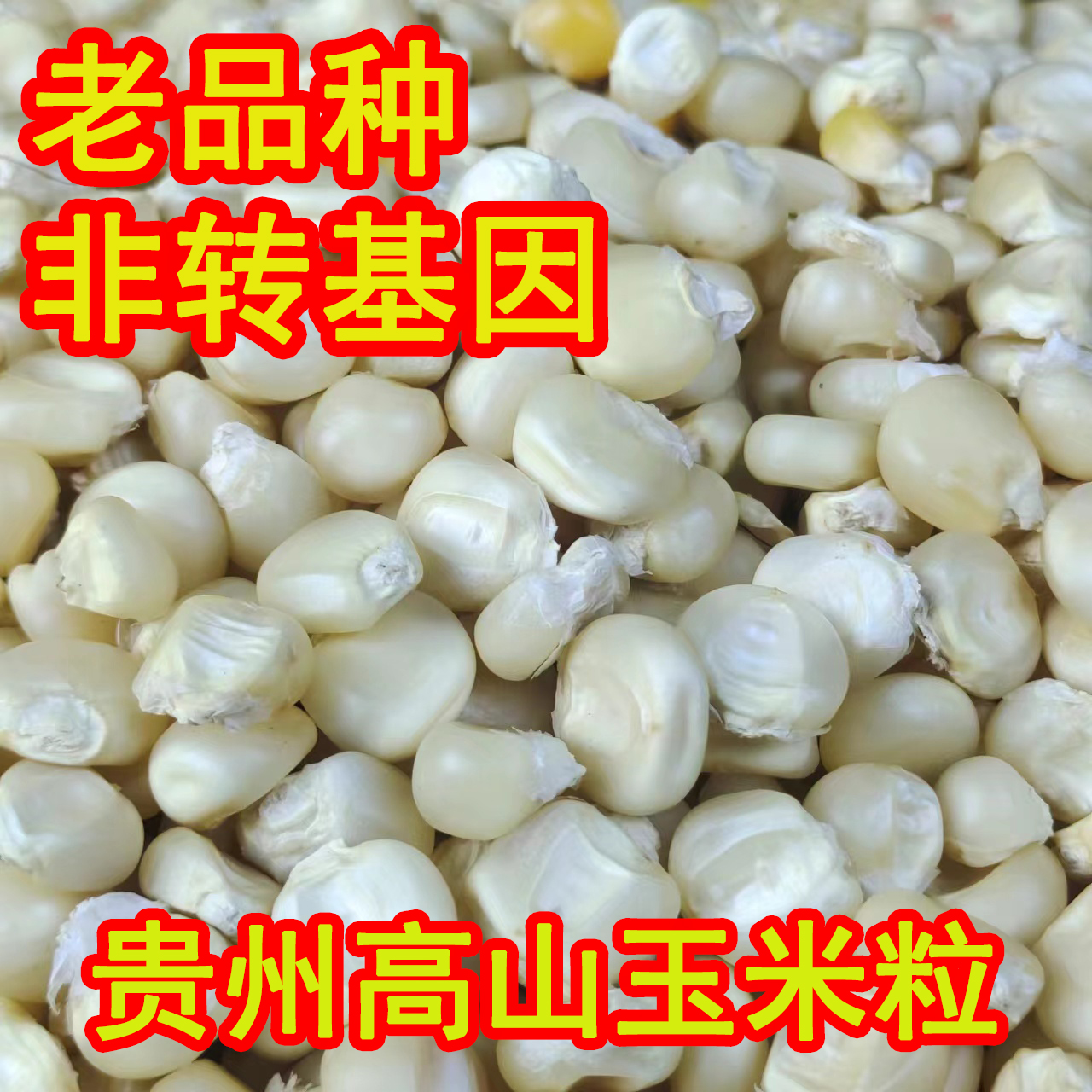 贵州白甜玉米粒饭玉米农村高山梯田农民种植老家味道产地包邮直发