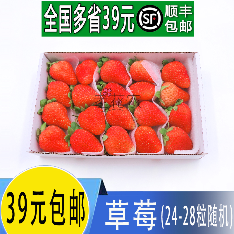 新鲜草莓 盒装 蛋糕烘焙 西餐摆盘 20粒/盒 江浙沪5盒顺丰包邮