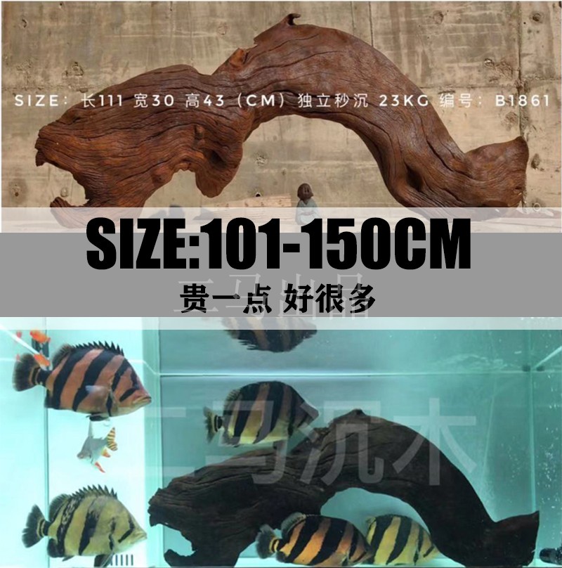 1.5m鱼缸