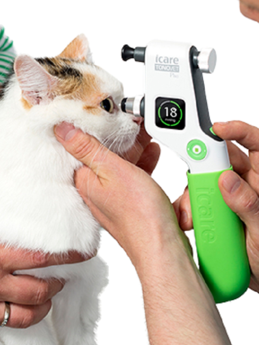 icare芬兰兽医动物宠物眼压计测量回弹式手持眼压仪tonovet plus