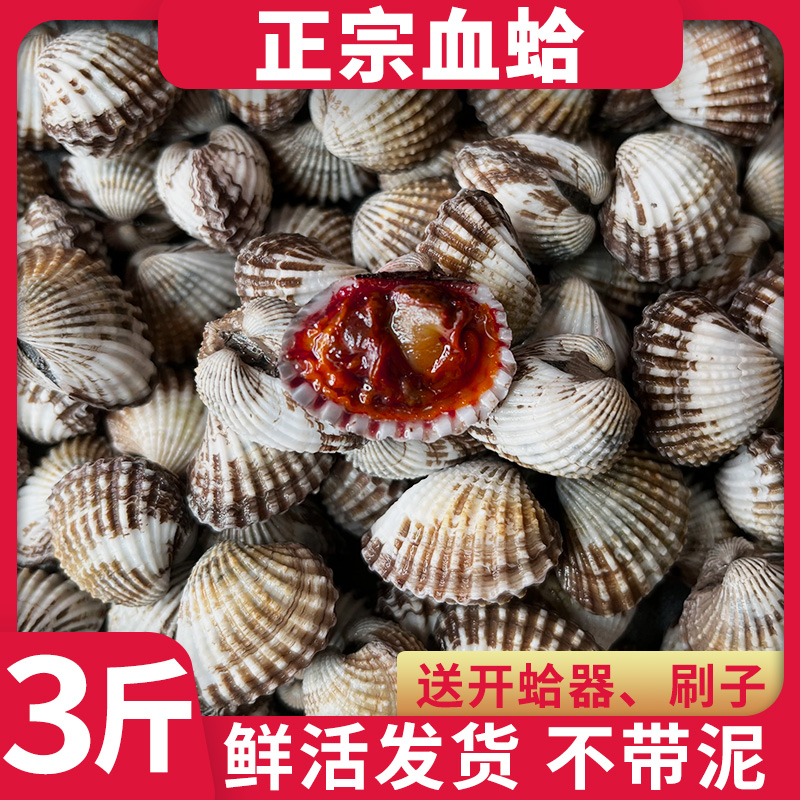 血蛤鲜活新鲜雪蛤血蚶血蛤蜊可生腌现挖现发海鲜鲜活贝类3斤包邮
