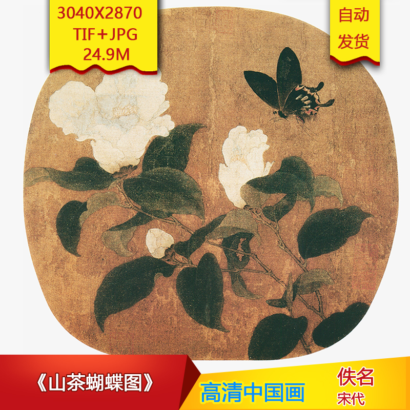 《山茶蝴蝶图》宋代佚名作品3040X2870像素高清国画素材