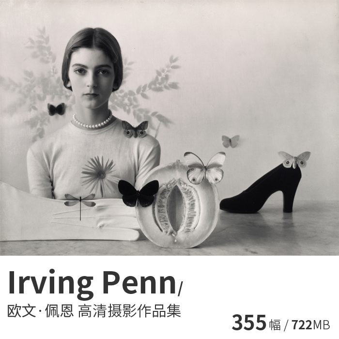 Irving Penn 欧文·佩恩时尚肖像静物摄影大师参考资料图片