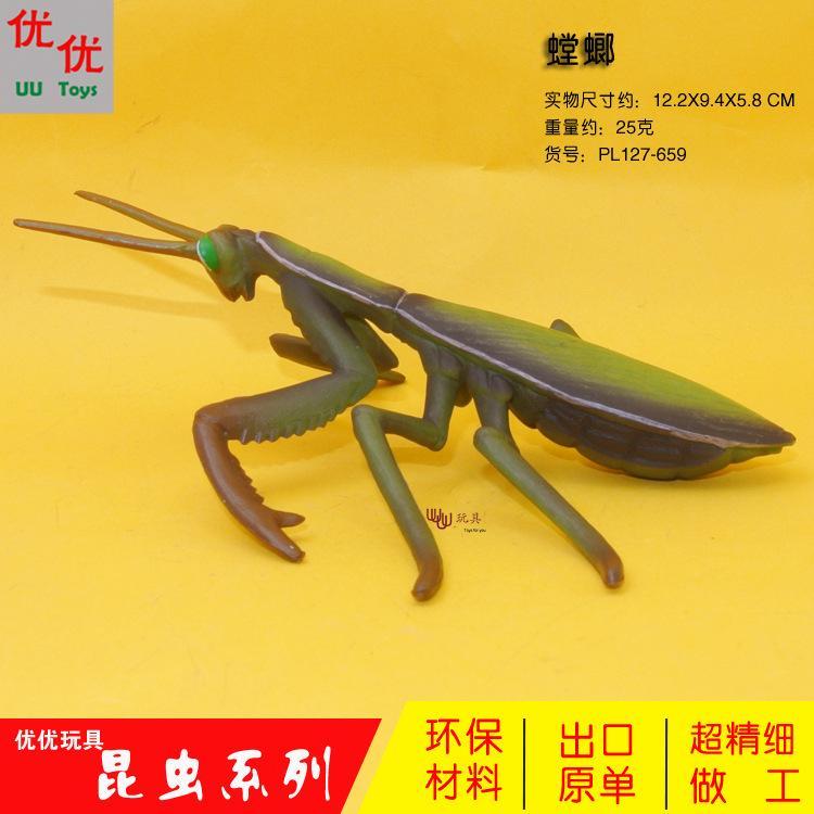 659-1308仿真野外昆虫螳螂动物祷告虫模型大刀螂蟋蟀儿童塑料玩具
