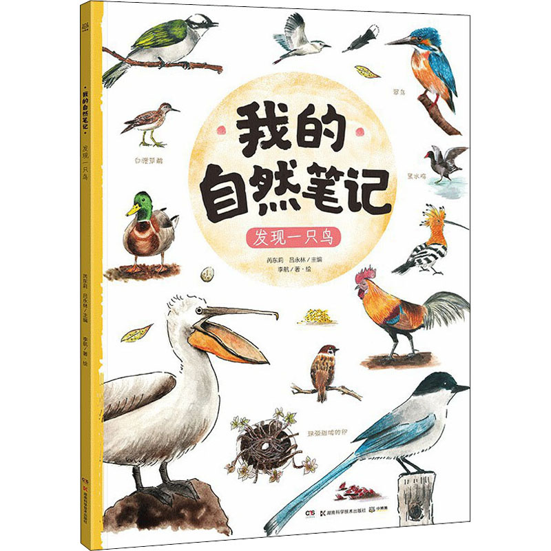 【现货】 我的自然笔记 发现一只鸟 芮东莉、吕永林著 97875710047 湖南科学技术出版社 儿童读物/童书/科普百科 新华仓直发