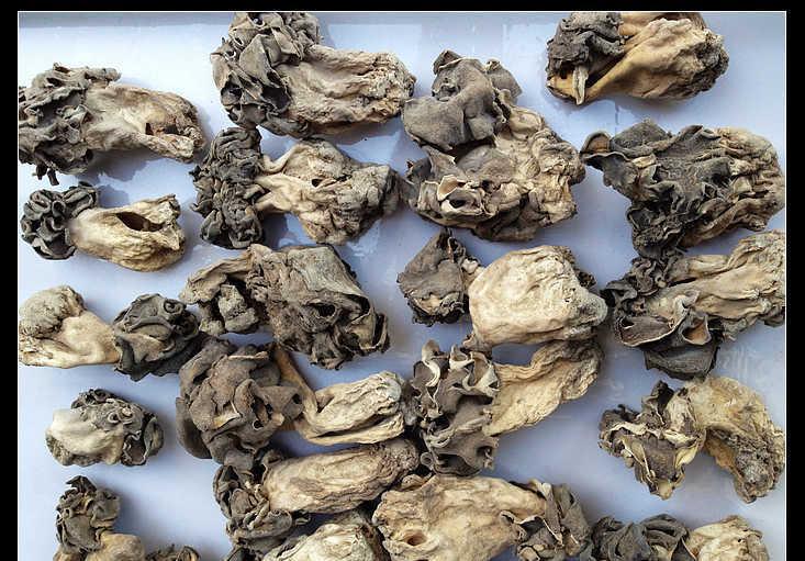新疆巴楚野生蘑菇干食用菌香菇胡杨林皱柄羊肚菌250g包邮 巴楚菇