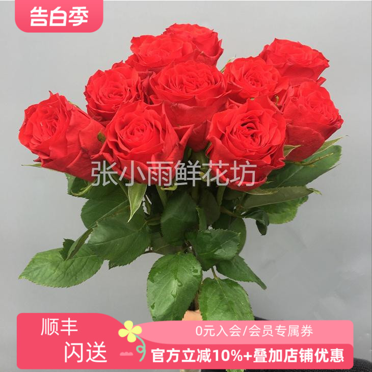 精致红真爱玫瑰鲜鲜切花 爱一生花束礼盒同城直达 小巧花头花期长