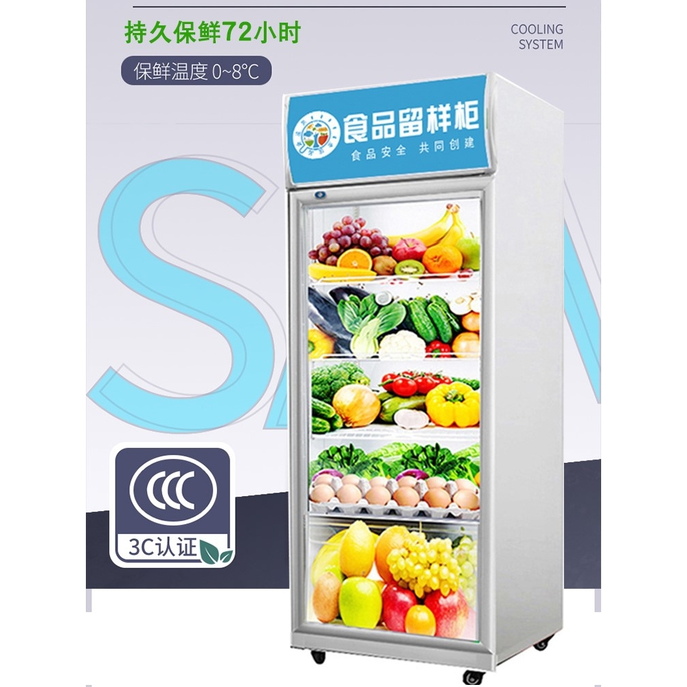 幼儿园食品留样柜托管班冰箱家用蔬菜水果保鲜柜饮料冷藏展示柜