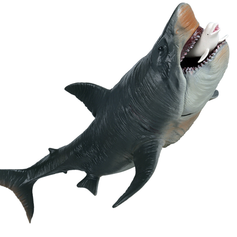 极速仿真史前海洋动物模型白垩刺甲鲨大号巨齿鲨大白鲨虎鲨摆件玩