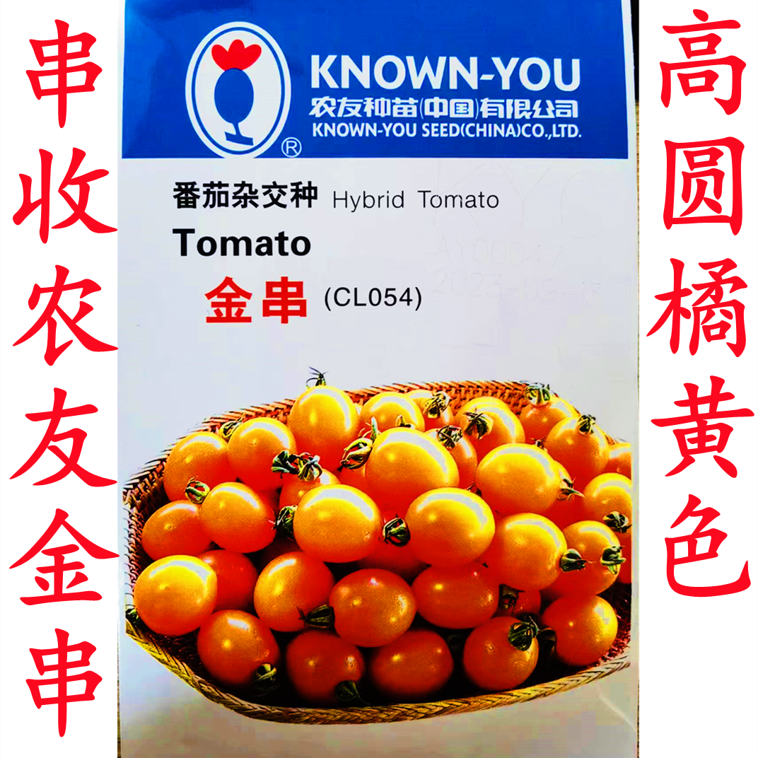 台湾农友金串收黄色小番茄种子 金珠圣女果樱桃西红柿原包香甜种