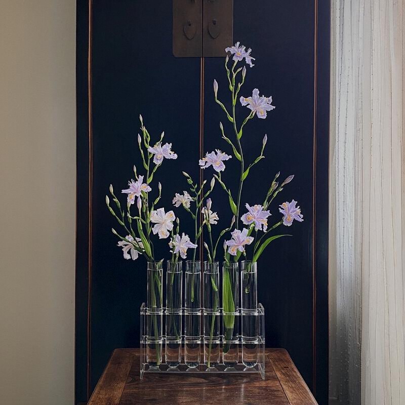 一排试管花瓶摆件客厅插花玻璃高级感亚克力水养洋牡丹鲜花高低小
