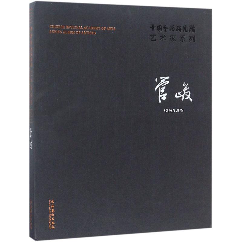中国艺术研究院艺术家系列：管峻 连辑 艺术作品集中国现代 艺术书籍
