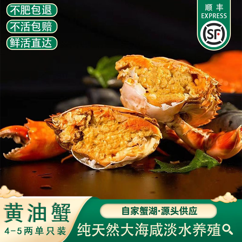 正宗黄油蟹4-7两/只 二级膏油蟹青蟹海蟹特大水产母蟹质量保证