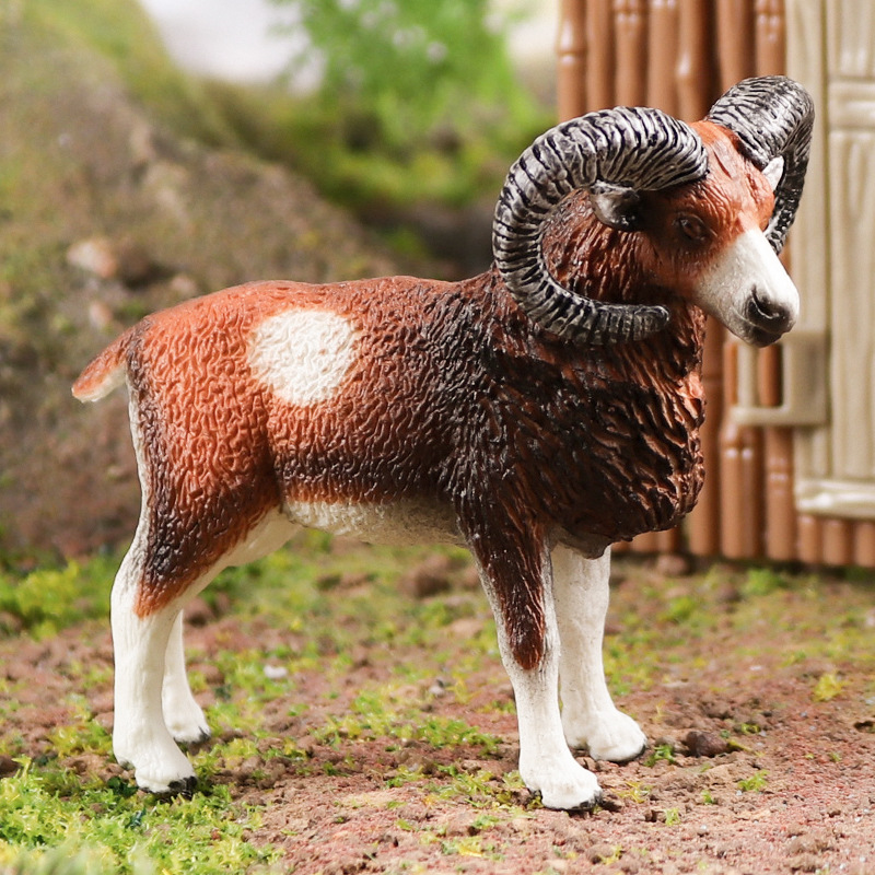 儿童实心仿真山羊绵羊动物玩具模型欧洲盘羊大角羊四角羊羔羊摆件